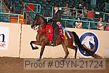 09yn-21724 proof