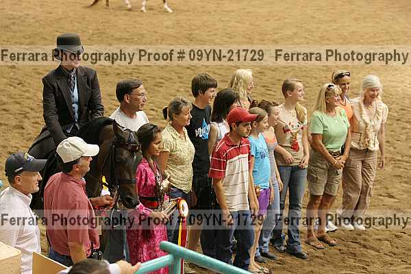 Proof 09yn-21729
