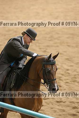 Proof 09yn-21731