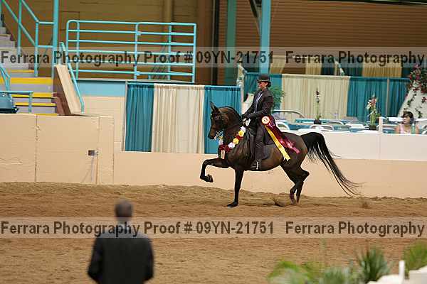 Proof 09yn-21751