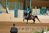 09yn-21751 proof