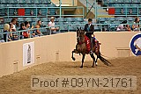 09yn-21761 proof