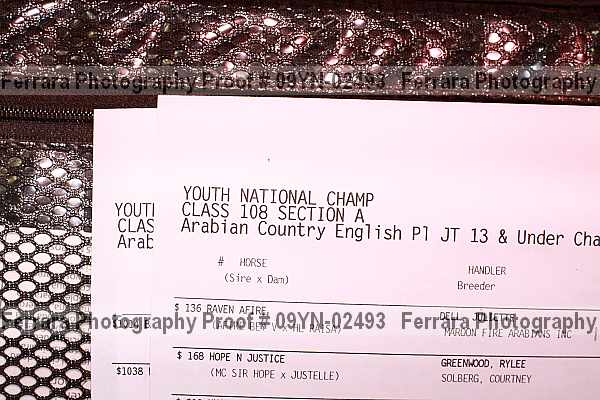 Proof 09yn-02493