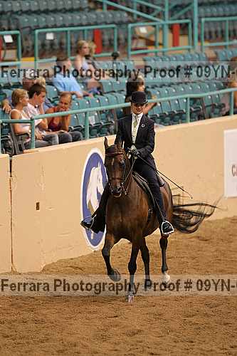 Proof 09yn-02496
