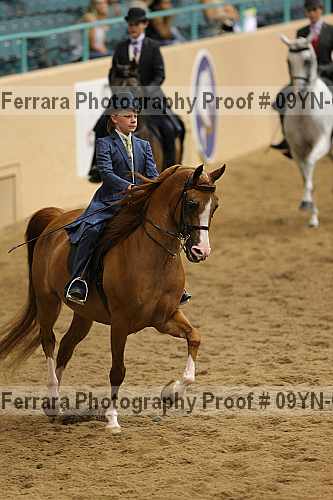 Proof 09yn-02501