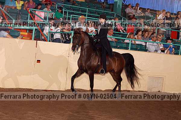 Proof 09yn-02504