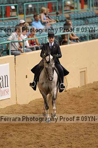 Proof 09yn-02506