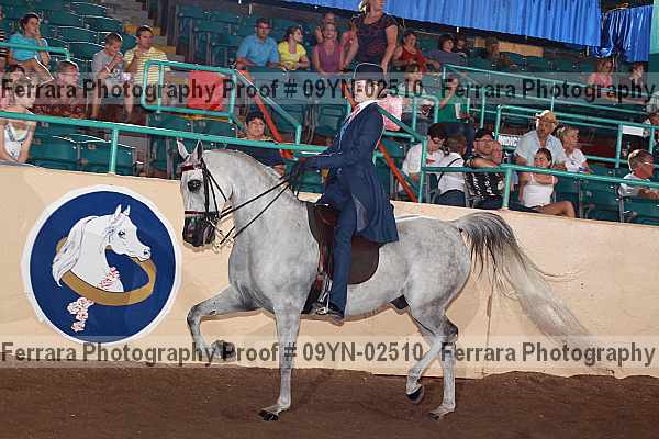 Proof 09yn-02510