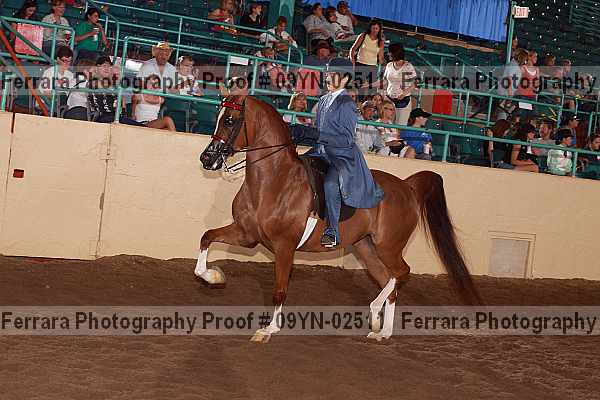 Proof 09yn-02511