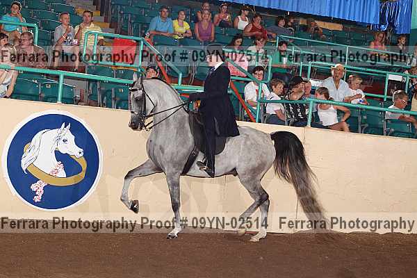 Proof 09yn-02514