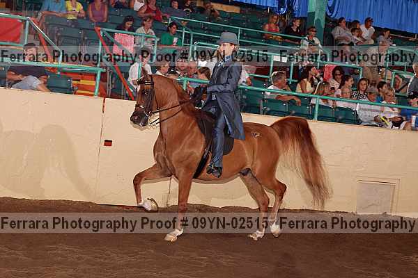 Proof 09yn-02515