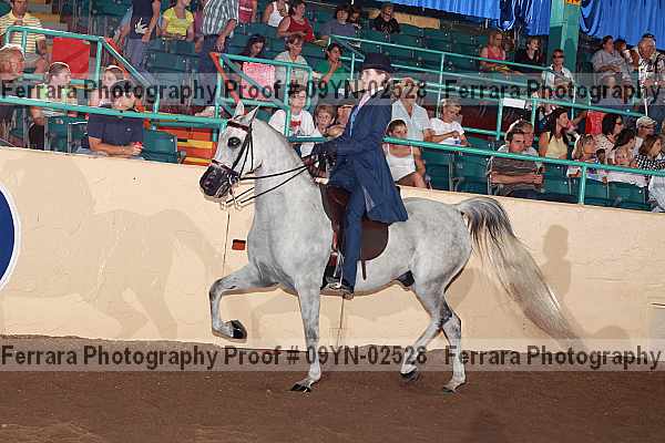 Proof 09yn-02528