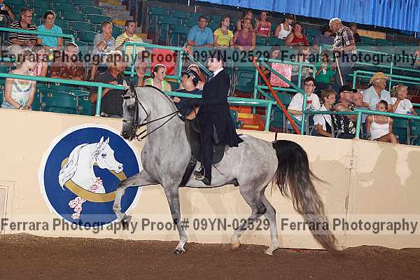Proof 09yn-02529