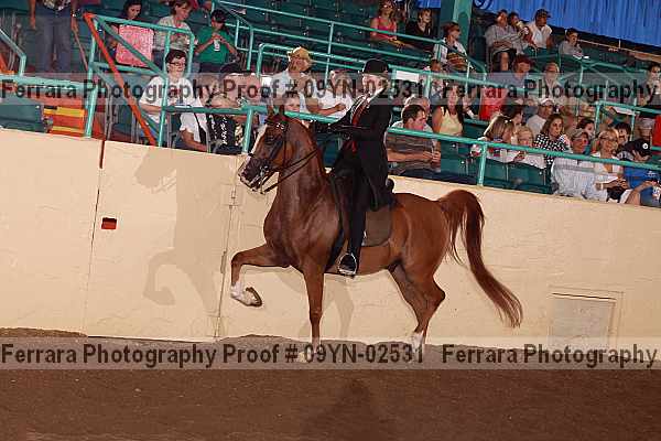 Proof 09yn-02531