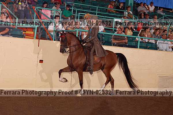 Proof 09yn-02532