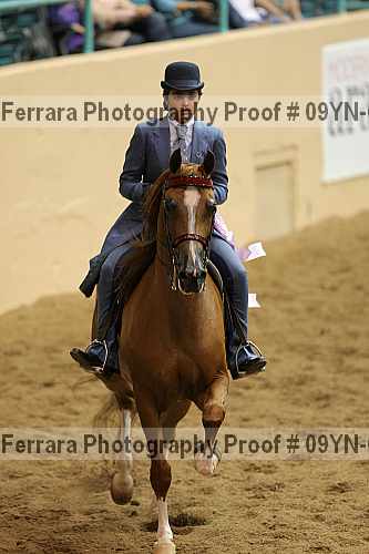 Proof 09yn-02542