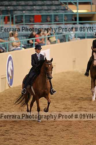 Proof 09yn-02556