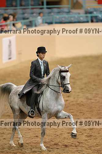 Proof 09yn-02562