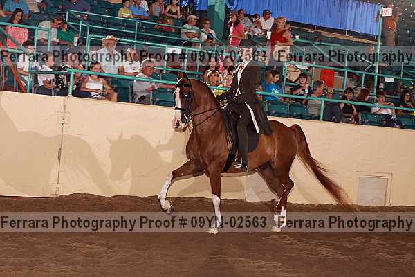Proof 09yn-02563