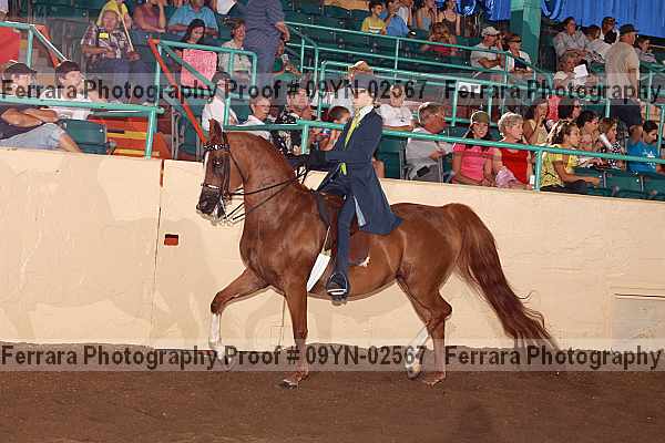 Proof 09yn-02567