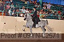 09yn-02571 proof