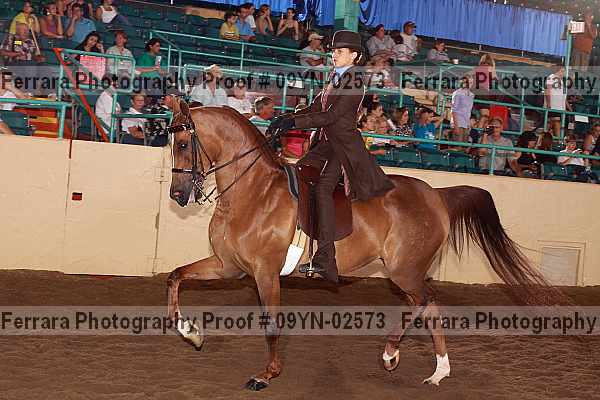 Proof 09yn-02573