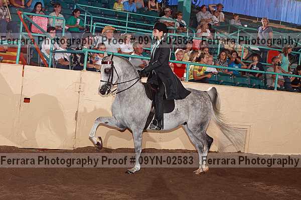 Proof 09yn-02583