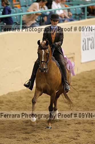 Proof 09yn-02596