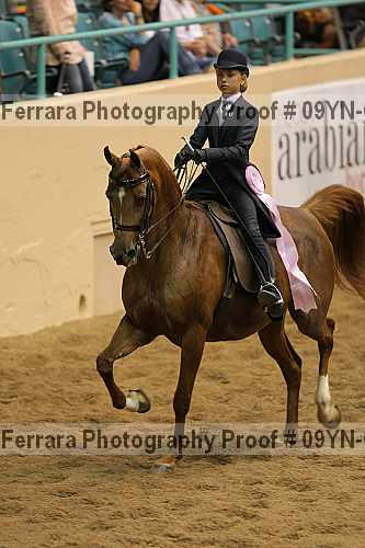 Proof 09yn-02597