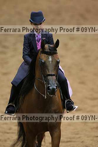 Proof 09yn-02602