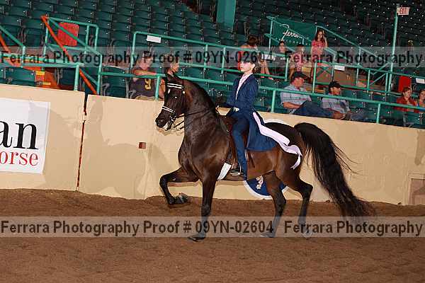 Proof 09yn-02604