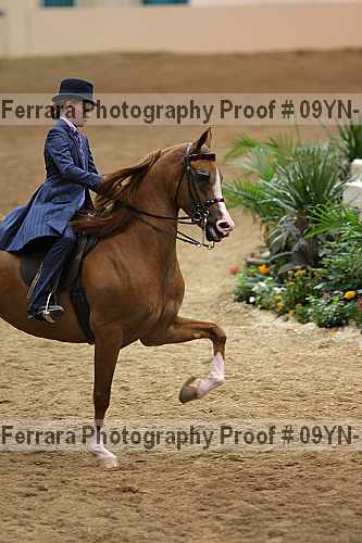 Proof 09yn-12189