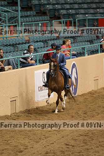 Proof 09yn-12190