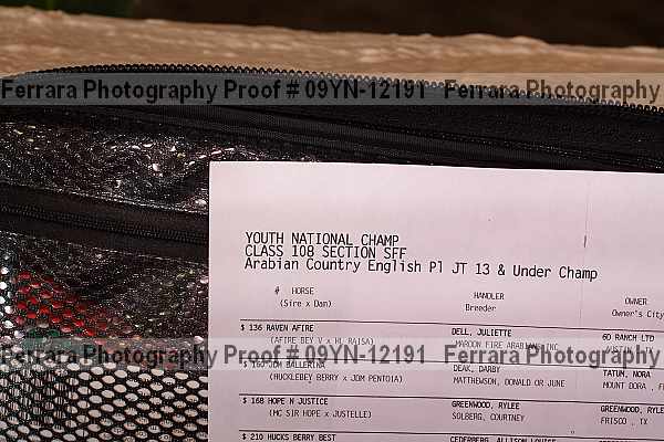 Proof 09yn-12191