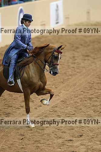 Proof 09yn-12192
