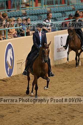 Proof 09yn-12194