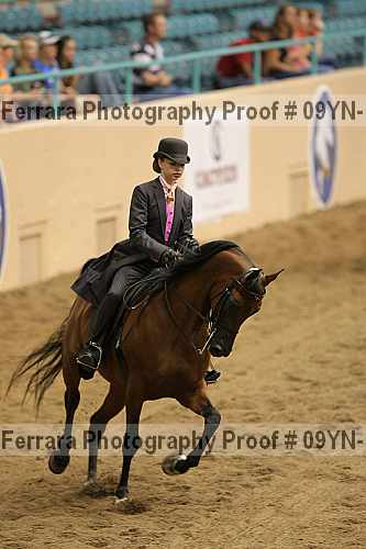 Proof 09yn-12196