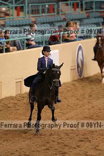 Proof 09yn-12197