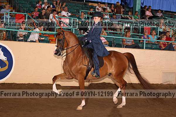 Proof 09yn-12199