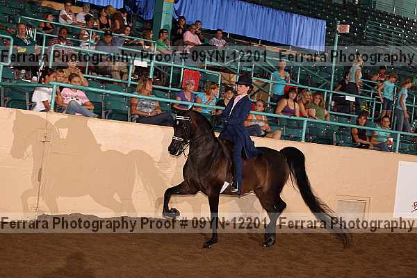 Proof 09yn-12201