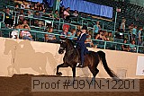 09yn-12201 proof