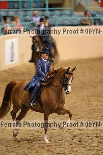 Proof 09yn-12202