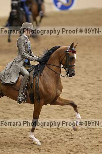 Proof 09yn-12203