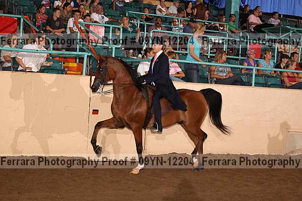 Proof 09yn-12204