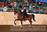09yn-12204 proof