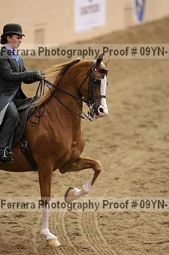 Proof 09yn-12205
