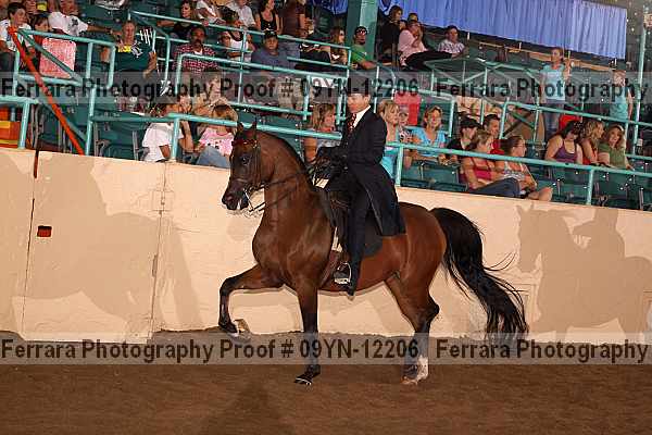 Proof 09yn-12206