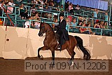 09yn-12206 proof