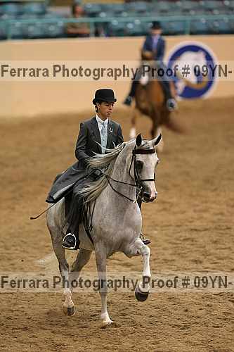 Proof 09yn-12207