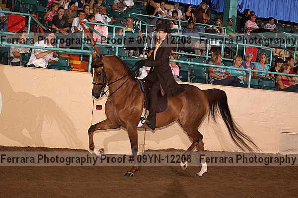Proof 09yn-12208